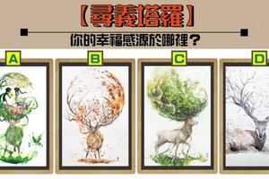 【尋義塔羅】你的幸福感來源於哪裡？