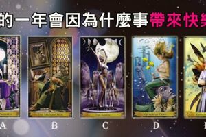 -聖塔洛塔羅精算-新的一年你會因為什麼事帶來快樂？