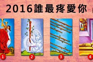 「卡牌」2016誰最疼愛你？