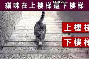  【上樓梯or下樓梯】測你屬於什麼腦細胞?