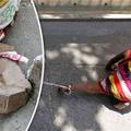 1歲半女童被父母栓養在石頭邊控制行動，在整整40度高溫下曝曬…