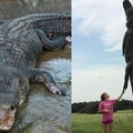 10歲女孩在河邊遇到一條巨大鱷魚！她竟然用這種方式當場將鱷魚誅殺...看到第二張照片徹底傻眼了！