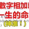 十二生肖：這9個數字相加就是你一生的命運，神准！