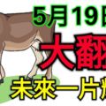 5月19日後，勞碌大半年的這3個生肖就要大翻身了，抓住機遇，憑借自己的才華，未來一片輝煌！