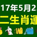 2017年5月23號十二生肖運勢早知道