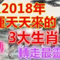 進入2018年好運天天來的3大生肖！轉走最靈驗！