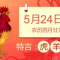 5月24日，12生肖運勢！生肖虎、羊、兔、雞、牛、鼠！