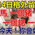 5月24日要格外留心了，一個馬，一個豬，一個蛇，一個羊！