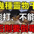 這幾種靈物不能打、不能殺，否則要倒黴！