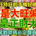 8月大旺特旺的手機好碼尾數。你是大旺偏財，還是正財大吉。雙尾數號碼必定雙喜臨門！