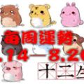 每周運勢提前報8.14—8.20