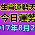 十二生肖運勢天天看，今日運勢：8月21日