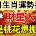 10月生肖運勢排行，看你是財星入命，還是桃花爆棚？