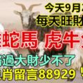 今天9月29日，每天旺財提示：羊雞蛇馬，虎牛兔豬。財神路過大財少不了！八大生肖留言88929必轉！