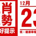 生肖運勢，天天好提示（12月23日）