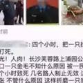 出警打狗的民警被人肉收到上萬條威脅簡訊