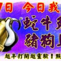 3月7日，今日我最旺！蛇牛兔猴豬狗馬龍！【22288】越早打開越靈驗！點個贊吧！