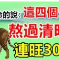 算命的說：這四個生肖，熬過清明節，連旺30年