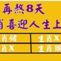 再熬8天，之後天天都是上上籤，陞官、有橫財、事事都順