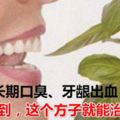 長期口臭、牙齦出血，沒想到竟然是因為這樣，這個方子就能治療！