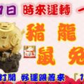 10月1日時來運轉一路發，豬龍狗鼠兔雞，88秒內打開，好運跟著來『16888』