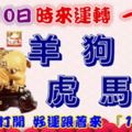 11月10日時來運轉一路發，羊狗牛虎馬豬，88秒內打開，好運跟著來『16888』