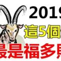 2019年自帶富貴的5個生肖，最是福多財旺！