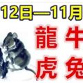 12生肖一周運勢（11月12日—11月18日）