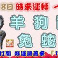 11月18日時來運轉一路發，羊狗龍兔蛇豬，88秒內打開，好運跟著來『16888』