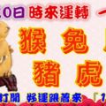 11月20日時來運轉一路發，猴兔馬豬虎龍，88秒內打開，好運跟著來『16888』