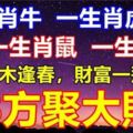 12月枯木逢春，財富一飛沖天，8方聚大財，日子不苦只甜的四大生肖！