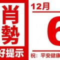 生肖運勢，天天好提示（12月06日）