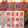 2019年6大生肖鹹魚大翻身，豬年最「旺」，有你嗎？