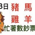 2月3日生肖運勢_豬、馬、兔大吉