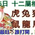 2月25日正月廿一,十二屬相運勢(今日我最旺，誰打開誰發財)