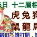 2月25日正月廿一,十二屬相運勢(今日我最旺，誰打開，誰發財)