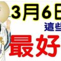 3月6日開始，最好運的八大生肖。