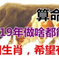 算命先生說：2019年做啥都能賺錢的五個生肖，希望有你~