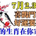 八大生肖7月2.3.4日喜鵲門前停，好運要來到