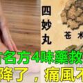 名中醫"推薦藥方"拯救痛風患者，用這4味中藥可降尿酸，止疼痛，輕鬆的遠離痛風腎！