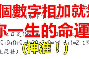 十二生肖：這9個數字相加就是你一生的命運，神准！