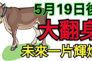 5月19日後，勞碌大半年的這3個生肖就要大翻身了，抓住機遇，憑借自己的才華，未來一片輝煌！