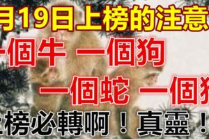 5月19日上榜的注意了！一個牛，一個狗，一個蛇，一個猴！