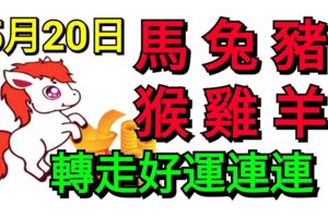 5月20日，生肖馬、兔、豬、猴、雞、羊！好運連連！