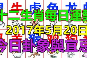 十二生肖每日運勢2017年5月20日，今日卦象與宜忌