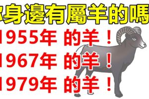 你身邊有屬羊的嗎？1955年，1967年，1979年的生肖羊，一生一世的命運！神准！