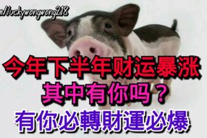 今年下半年财运暴涨的三大生肖，其中有你吗？【有你必轉財運必爆】