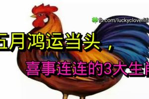 五月鴻運當頭，喜事連連的3大生肖