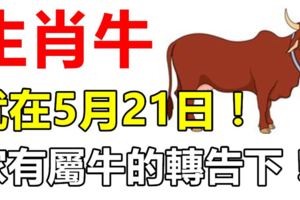 生肖牛，就在5月21日！會遇到「大麻煩」！家有屬牛的轉告下！