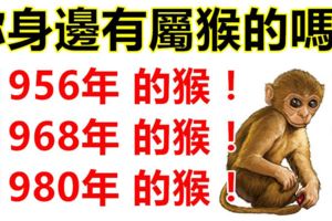 你身邊有屬猴的嗎？1956年，1968年，1980年的生肖猴，一生一世的命運！神准！